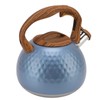 3 Liter Whistling Tea Kettle Stainless Steel Teapot with Handle