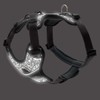 HUNTER Divo Reflect Harness Black/Grey Size S-M