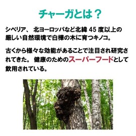健康プラス チャーガ丸 粒タイプ 韓国 サプリメント カバノアナタケ 桑の葉配合 2600粒入り 200g