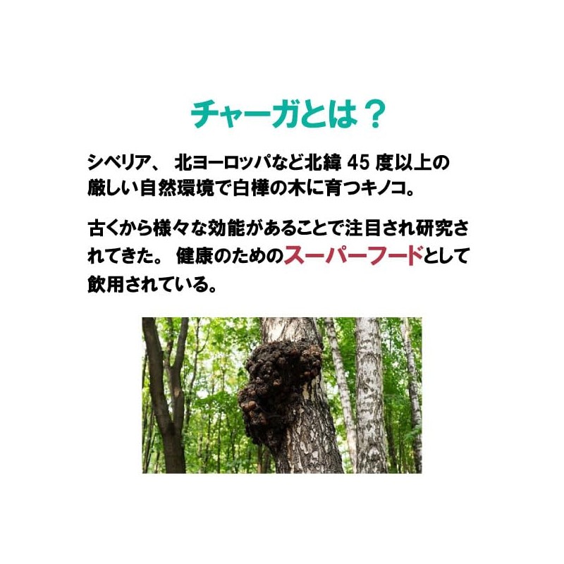 健康プラス チャーガ丸 粒タイプ 韓国 サプリメント カバノアナタケ 桑の葉配合 2600粒入り 200g