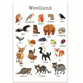 Woodland Animals Classroom Poster - Learning Woodland Animals - Elementary School - PreK Kindergarten - 12 x 18 Inch - Classroom Decor - Classroom Must Haves - Back To School Decor - CPS0261