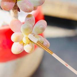 Pollination Brush Set 8 Pcs Vegetable Pollination Brush Pollination Tools Round Brush Sprayer Brush for Outdoor Garden