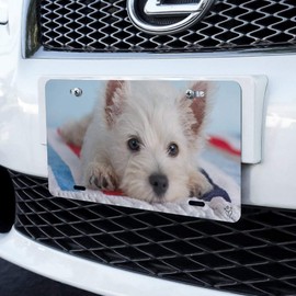 GRAPHICS & MORE West Highland Terrier Westie Puppy Dog Beach Towel Novelty Metal Vanity Tag License Plate