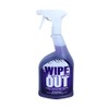Wipe Out 6012 All Purpose Surface Cleaner for Swimming Pools,