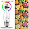40W Incandescent Chandelier Bulbs - Crystal Clear, Torpedo Tip, Medium