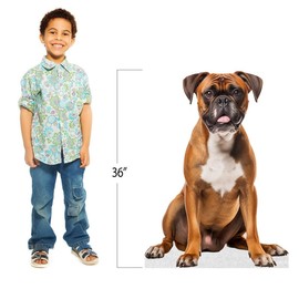 Dog - Boxer - Life Size Cardboard Cutout Standup People with Support Standee | Animals -