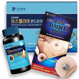 Hanmi Corporation Boswellia Chondroitin 6-month supply + Hogwanwon Magnetic Patch 3000 Gauss Set / 한미양행 보스웰리아 콘드로이친 6개월분 + 호관원 자석패치 3000가우스 세트