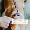 Ferplast Genuine Leather Dog Lead VIP, Leather Dog Leash, Length