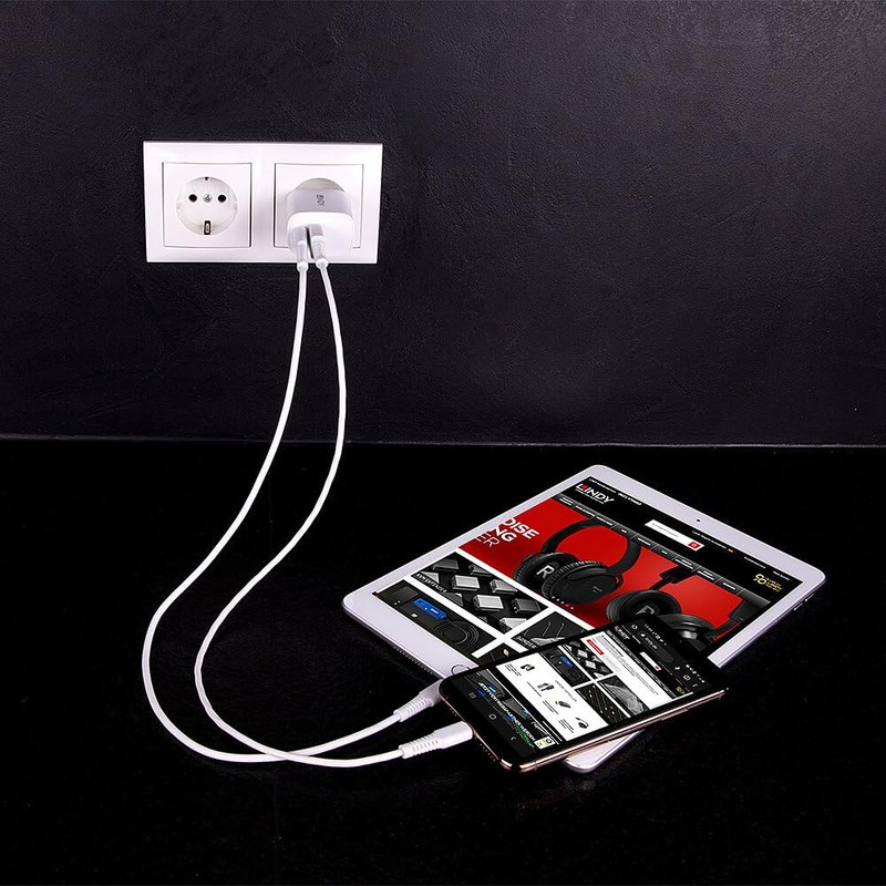 LINDY 73413 20W USB Type A & C Charger