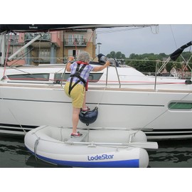 Dan Fender FenderStep - Multi-Purpose Boarding Step and Boat Fender – Easy Access Stepping Ladder & Bumper - Yacht, Pontoon & Boat Accessories for Docking (Black)