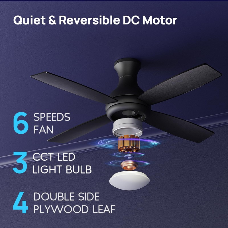 Consciot Ceiling Fan With Lights, 52 Inch Modern Black Ceiling