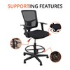 Stand Up Desk Store Sit to Stand Drafting Task Stool