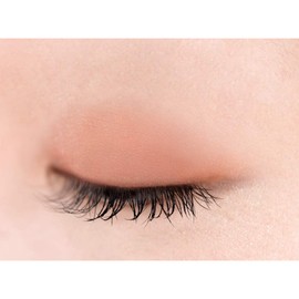 Excel Eye Planner F02 Eyeshadow, Color: Nutmeg, 0.04 oz (1.2 g), 1 count