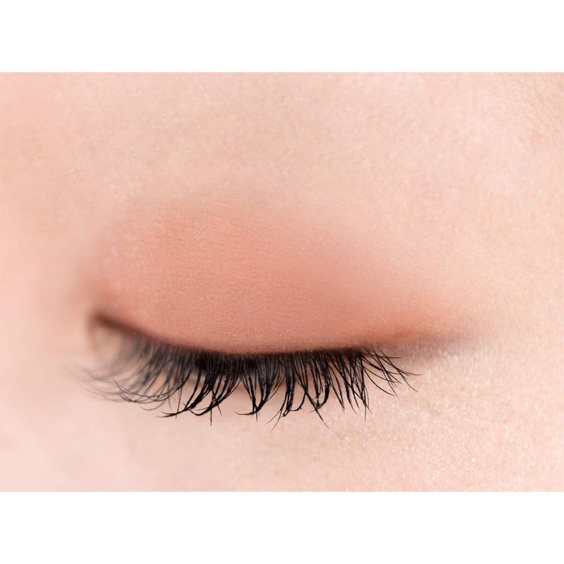 Excel Eye Planner F02 Eyeshadow, Color: Nutmeg, 0.04 oz (1.2