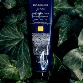 TEA Collective Junos Purify Hand Cream | Yuzu, Perilla Leaf, Eucalyptus | 2.36 Fl Oz | Product of Korea
