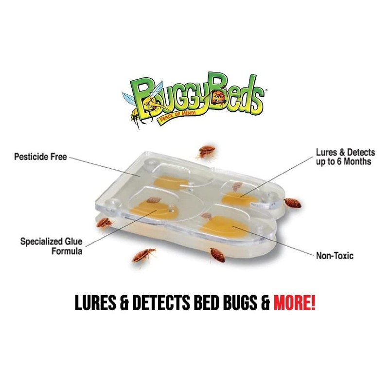 BuggyBeds Bed Bug Glue Traps, 4 Counts