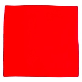 《Teaware Foods》Silk Pure Silk (Shiose) Red 6 Momme (approx. 22,5 g) Silk Fabric (time can be selected)