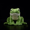 RLOMUTE Soft Frog Plush Toy - Cute Frog Cushion, Realistic