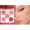 Mysense 5 Colors Face Blush Palette,Makeup Bright Shimmer Matte Powder