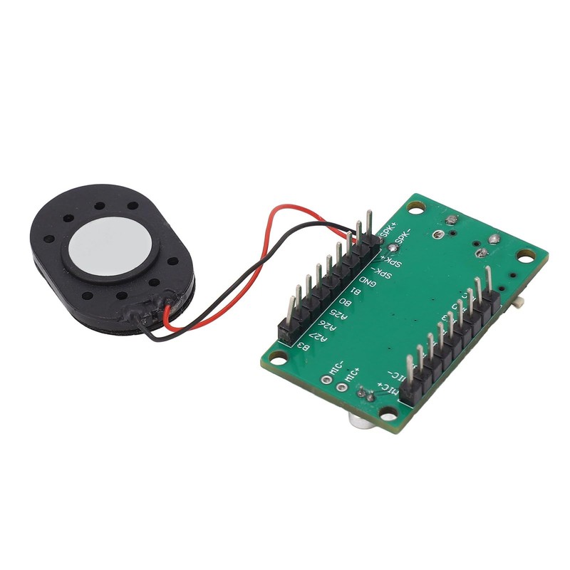 Voice Control Development Board, CH340NUSB, Sensitive Microphone, AI Voice Recognition