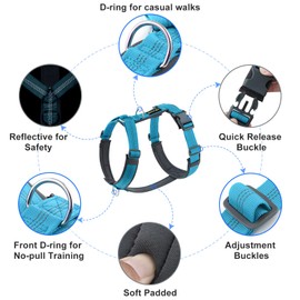 Plutus Pet No Pull Dog Harness, Adjustable Nylon Harness with Soft Padding, Reflective and Heavy Duty Dog Harness for Small, Medium, Large Dogs(Cyan, XS)