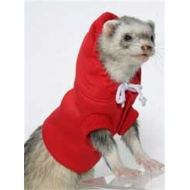 Marshall Ferret Sweatshirt, Colors Vary