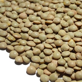 Brown Lentil Brown Lentil Lentil, Flatbeans, Lentils, Lentils, Skin Included, Masurdar, Muscledar, Sabut Masoor Masoor Dal, Ameyoko, Otsuya (17.6 oz (500 g)