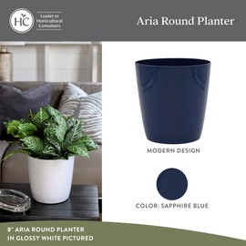 The HC Companies Aria Round Self-Watering Pot - Lightweight Plastic Planter for Herbs & More - Durable Plant Pots for Indoor Plants & Outdoor Plants (10" Sapphire Blue, Pack of 2)