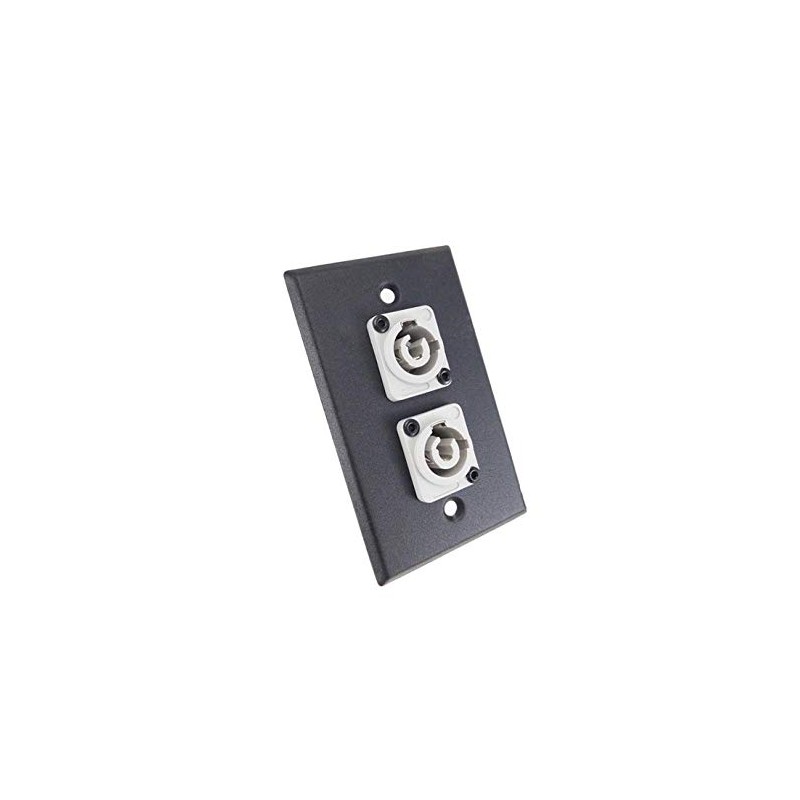 usbargainsound ProCraft Black Wall Plate 2 Power Out Gray AC