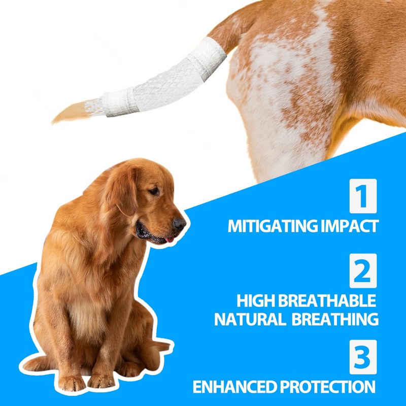 CHGShine Dog Tail Protector Starter Pack - Tail Dressing Vet