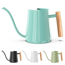 Watering Can Indoor Plants Mint Green 35oz Cute Watering Can Decorative Small Matal Watering Pot for House Bonsai Plants Garden Flower Indoor Outdoor