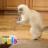 Fancy Pets Juguete Catch con Forma de Ratón para Gato