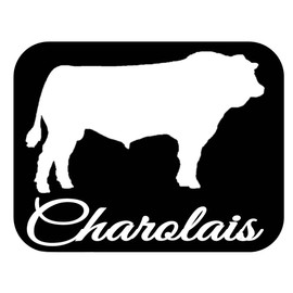 Charolais Bull Decal 6" Sticker OS 281 cattle cow beef