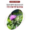 헬씨허그 Healthy Hug Liver Health Premium Milk Thistle Health Functional
