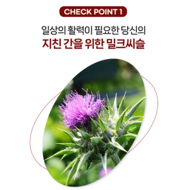헬씨허그 Healthy Hug Liver Health Premium Milk Thistle Health Functional