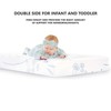Dream On Me 2 In 1 Infant Crib And Toddler