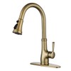 Gold Kitchen Sink Faucet with Pull Out Sprayer, Brushed Gold
