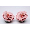 Fine Porcelain Pink Hibiscus Flowers Salt & Pepper Shakers Set,