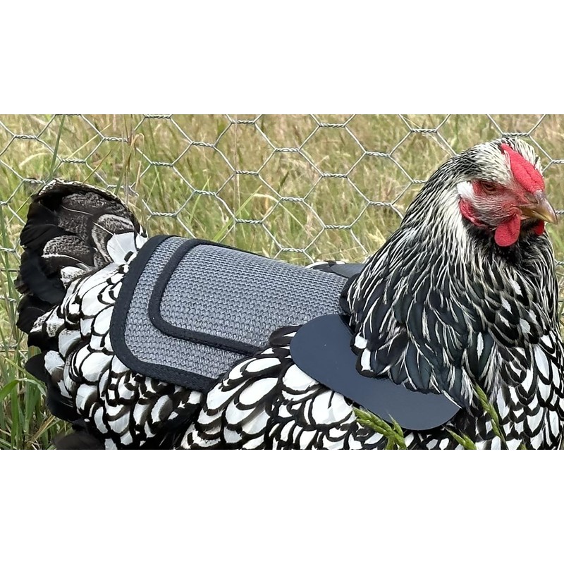 DOWN UNDER OUTDOORS Extra Large Chicken Saddle with Adjustable Straps