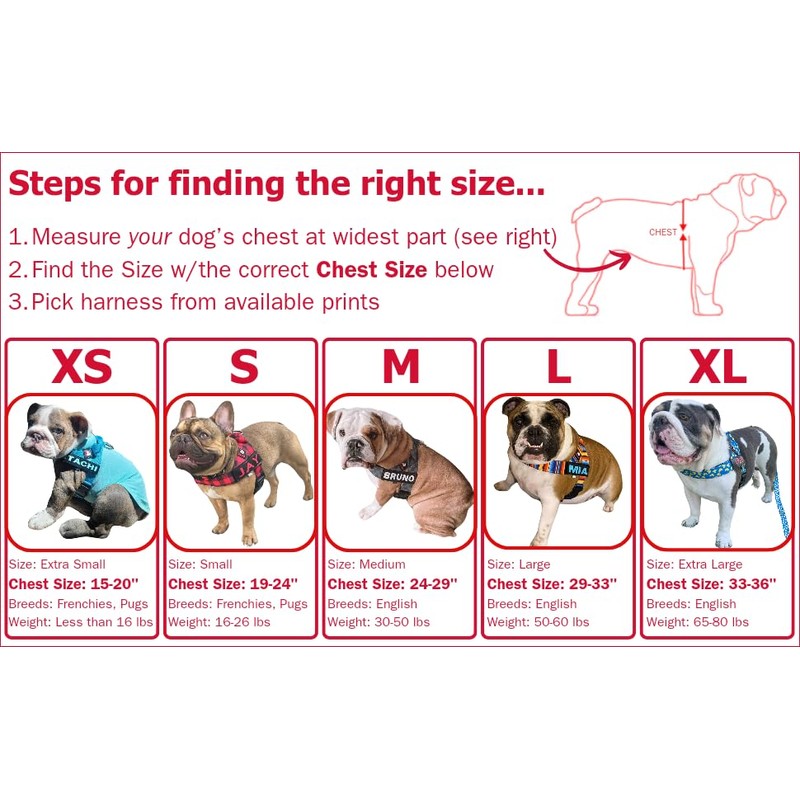 BULLHUG Harness – Made for Larger Chested Dogs Like English