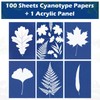 Sun Print Cyanotype Paper Kit, 100 Sheets A6 Cyanotype Papers