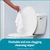 Medline ReadyFlush Select Dispersible Cleansing Cloths, Fragrance-Free, 1 Pack -