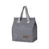 Lunch Bag, Insulated Lunch Bag, Stylish, Office, Work, School, Picnic,