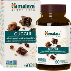 Himalaya Guggul, 60 Vegetarian Capsules, Helps Support Healthy Cholesterol Levels, Non-GMO, Gluten Free Supplement, 720 mg