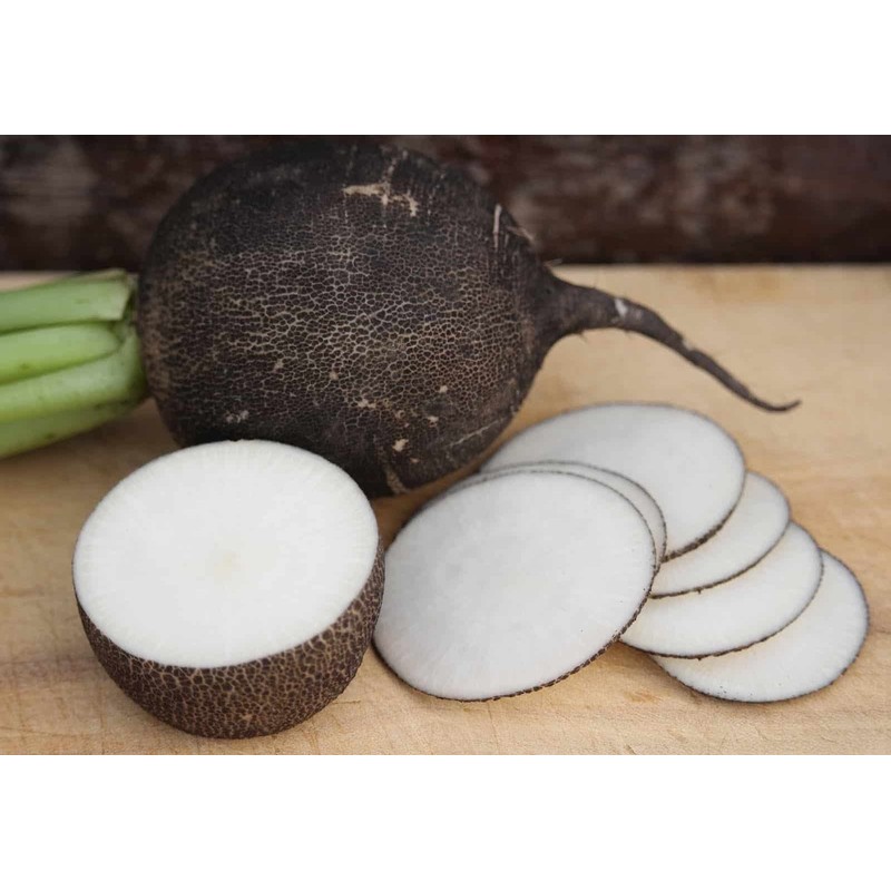 RAISE ME UP: Seeds Black Spanish Round Radish Non GMO