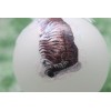 C011 Hand-made Christmas Ornament cat kitten - Tiger Tabby sitting
