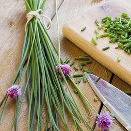 SeedsUP - 400+ Garlic Chives Onion - Vegetable Green