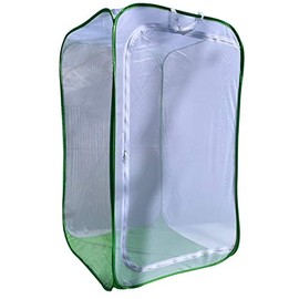 Educational Science Professional Pop-Up Butterfly Terrarium, 27 x 27 x 48-inch, Green, LH175G