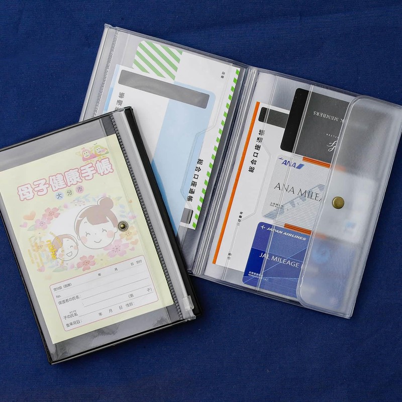 nahe travel organizer, clear gray