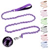 HOMIMP Chew Proof Dog Leash for Medium Large Dogs, Reflective